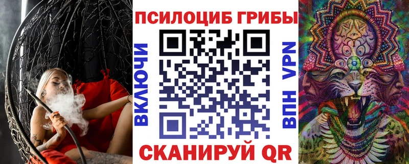 Галлюциногенные грибы MAGIC MUSHROOMS  закладка  Кимовск 